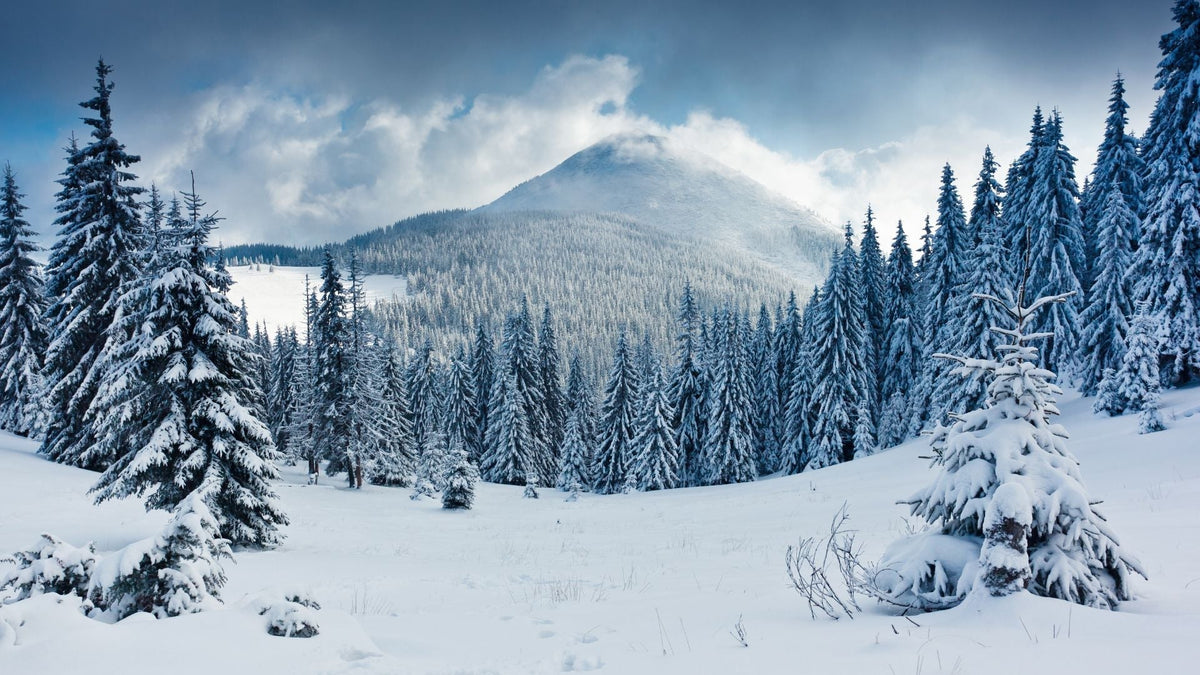 Winter Color Season: The Cheat Code Words That Tell You It's Yours - The Glow Guide